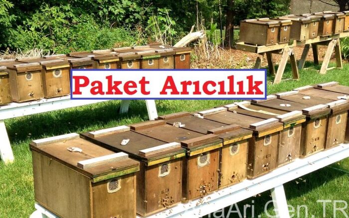 Paket Arıcılık