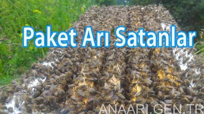 paket-arı-satanlar