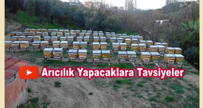 arıcılık yapacaklara tavsiyeler