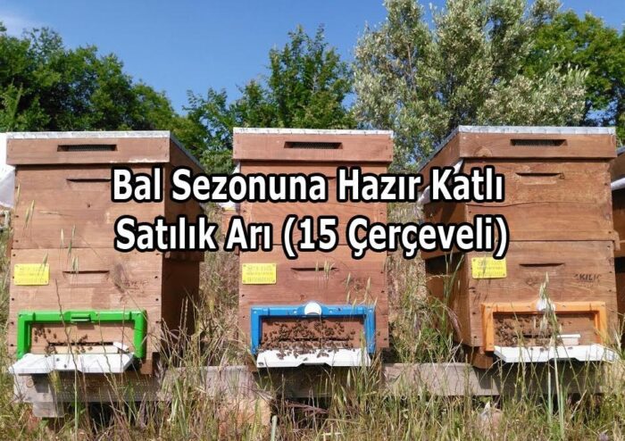 Bal Sezonuna Hazır Katlı Satılık Arı (15 Çerçeveli)