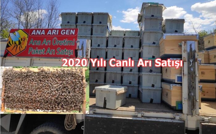 2020 yılı canlı arı satışı