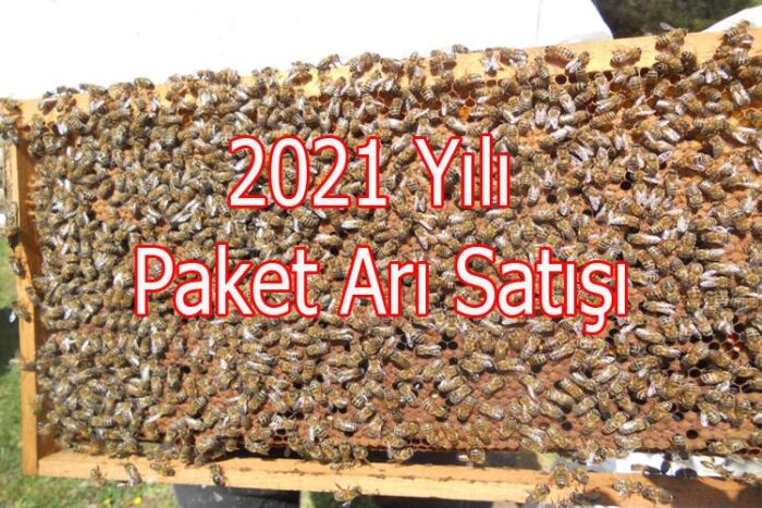 2021 paket arı satışı