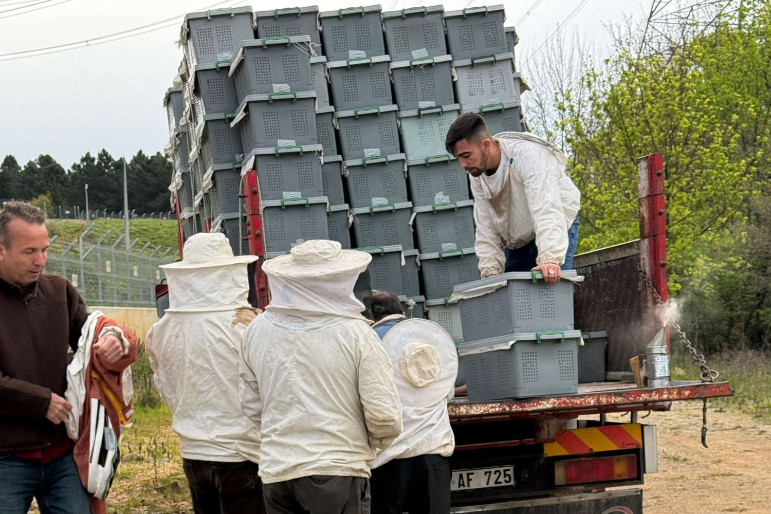 2025 Yılı 1 Kovan Paket Arı Fiyatı 2